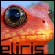 eliris