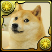 doge