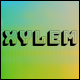 Xylem